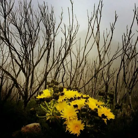 Casa La Bodega Casa de Férias Hermigua