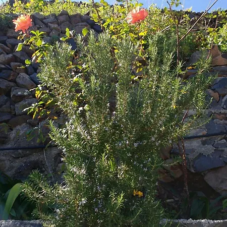 Casa La Bodega Tatil Evi Hermigua