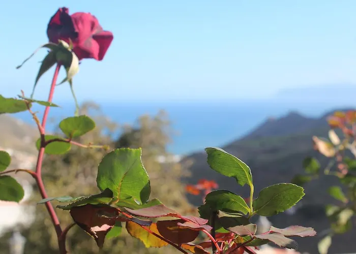 Casa La Bodega Hermigua