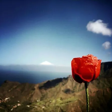 Casa La Bodega Сasa de vacaciones